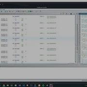 Fact Check PicoCTF 2024 Reverse Engineering Challenge