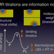 TITAN Two Dimensional NMR Lineshape Analysis