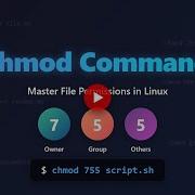 Chmod Command In Linux Mastering File Permissions For Beginners