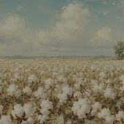 Summer Fields