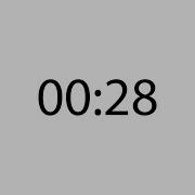 Professional 28 Second Timer