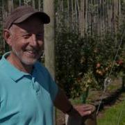 Future Orchard Systems