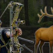 Solo 3d Archery Shoot With The Hoyt AX2