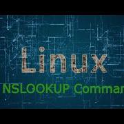 56 Как использовать команду Nslookup для запроса DNS Ускоренный курс по Linux Linux