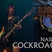 NAILBOMB Cockroaches Live At Bloodstock Open Air 2025