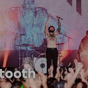 Beartooth Live At Lowlands 2023