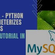 Python MySQL Connectivity Parameterized Queries