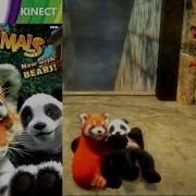 Kinectimals Now With Bears DLC 43 Xbox 360 Longplay