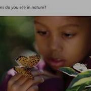 Patterns In Nature By Jennifer Roy AR Read Aloud Accelerated Reader