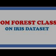 Random Forest Classification Algorithm On The Iris Dataset