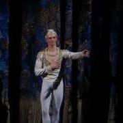 Sergei Polunin Natalia Somova Erika Mikirticheva La Bayadere 18 10 2013 Curtain Call