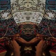 Modular Vid 157