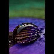 Hypercomplex Numbers