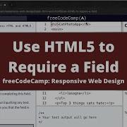 Use HTML5 To Require A Field Basic HTML And HTML5 FreeCodeCamp Tutorial