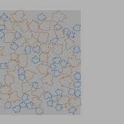 Polygon Packing