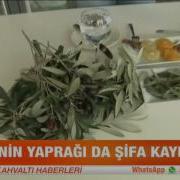 Zeytin Yaprağı çayı Nasıl Yapılır Atv Kahvaltı Haberleri