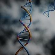 This Was The Birth Of DNA Profiling