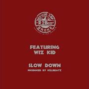 Slow Down Feat Wiz Kid