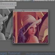 Converting RGB To Grayscale Using ImageJ