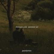 Şebnem Ferah Bu Aşk Fazla Sana Lyrics