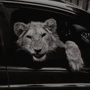 MACAN Kiliana Спокойной ночи Big Slowed Reverb Version