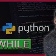 While En Python Curso De Python De 0 A Experto Cap 14