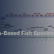 DNA Based Fish Species Identification L Protocol Preview