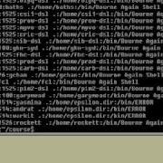 07 Unix Shell Scripting Tutorial Text Processing Part 3
