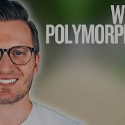 Python Day 114 Polymorphism In Python