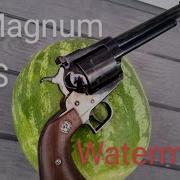 44 Magnum Vs Watermelon