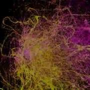 Unity Compute Shader Particles Test