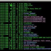 List Files In The Linux Shell Script Tutorial Directory And Folder