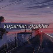 Sertab Erener Koparılan çiçekler Speed Up