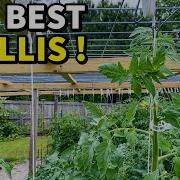 I Invented The BEST Vegetable Garden Trellis Ever