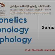 Morphology P18