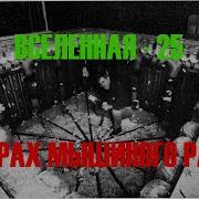 Эксперимент Вселенная 25 крах мышиного рая