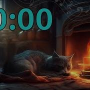 40 Minute Timer COZY CAT RELAXING With Music And Alarm