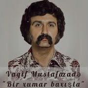 Vaqif Mustafazade Bir Xumar Baxisla