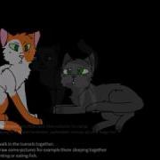 Dead Hearts Warrior Cats Map OPEN