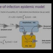 COVID 19 Epidemic Dynamics On Macro Micro And Mesoscales