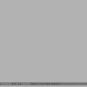 Bash Positional Parameters