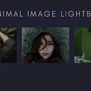 Minimal Image Light Box HTML CSS JavaScript