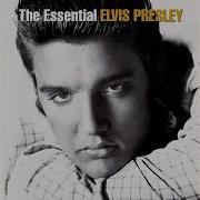 Fever Essential Elvis Version