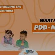 What Is PDD NOS 9 Understanding The Autism Spectrum