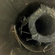 Fishing 01 Opteye Case Videos