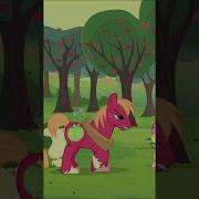 The Crusaders Upset Everypony My Little Pony Friendship Is Magic Shorts Mlp Cartoon Pony