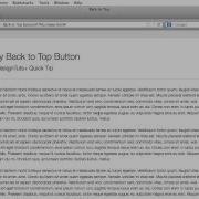 Quick Tip Sticky Back To Top Button