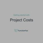 FunctionFox Getting Started With Project Costs