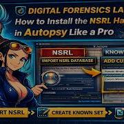 Digital Forensics Lab How To Install The NSRL Hash Database In Autopsy Like A Pro