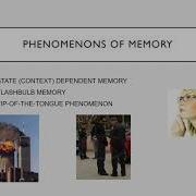 Psy 110 Memory Phenomena And Mnemonics